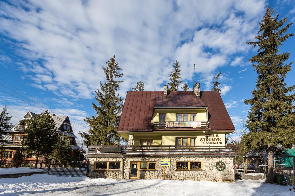 Willa Strumyk Zakopane Extérieur photo